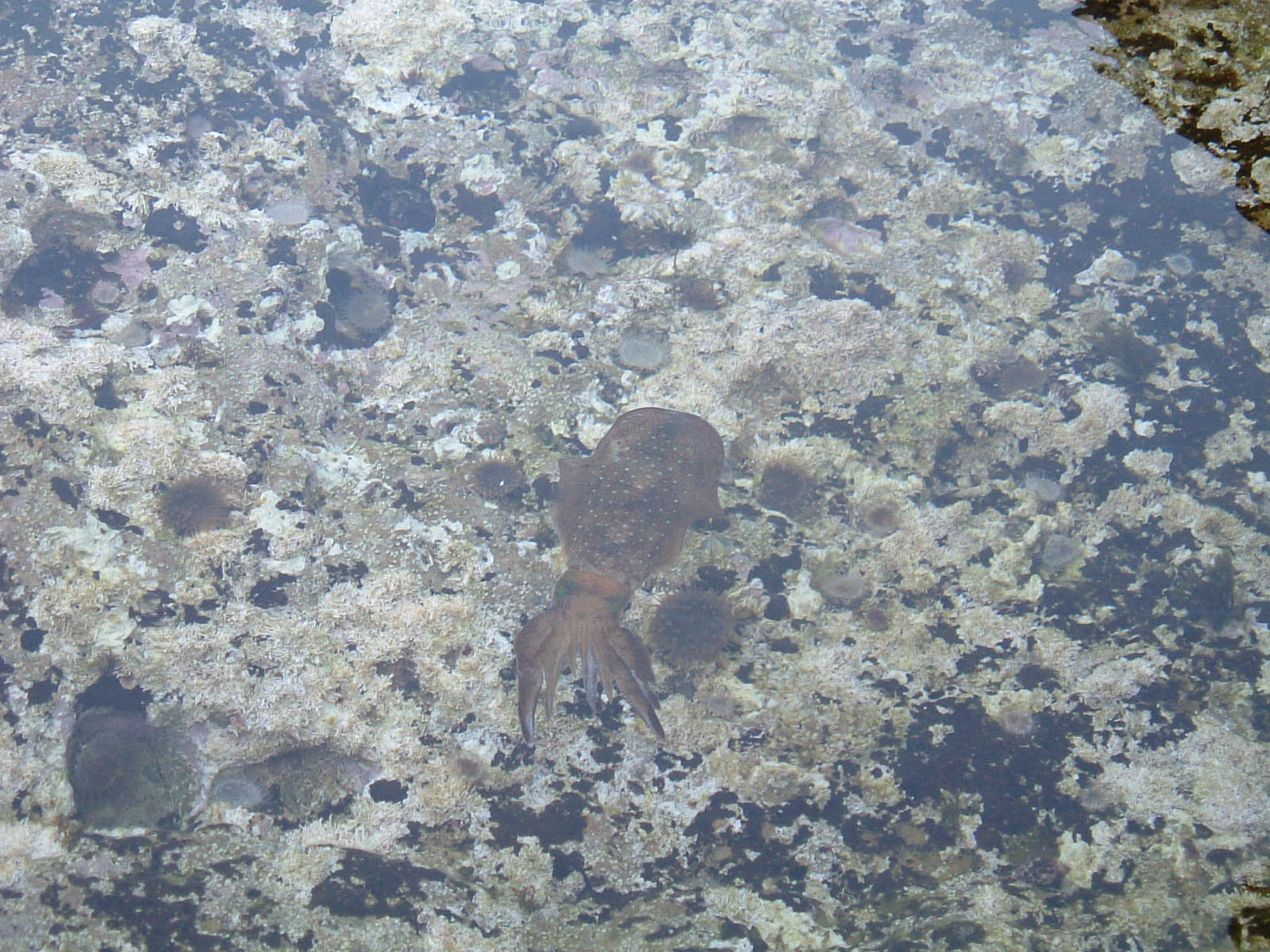 f0035404_16244448.jpg