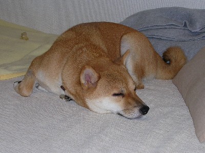 f0004309_12534896.jpg