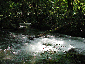 a0055913_9415041.gif