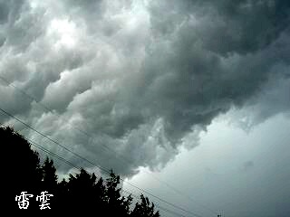 f0000521_1884745.jpg