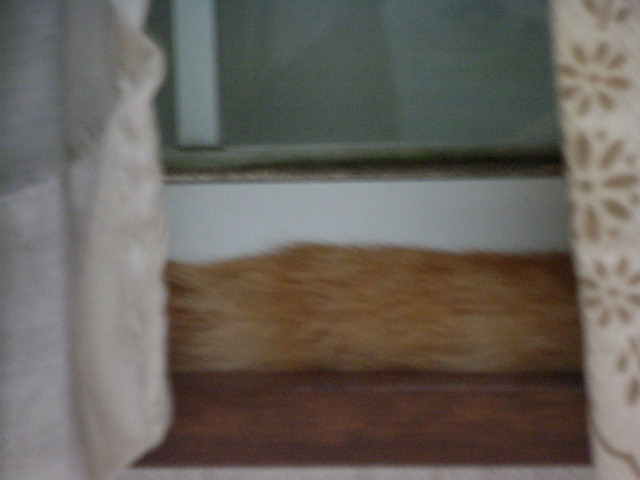 d0081025_2040528.jpg