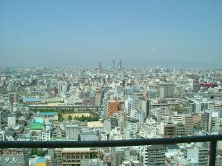 d0005827_2023155.jpg