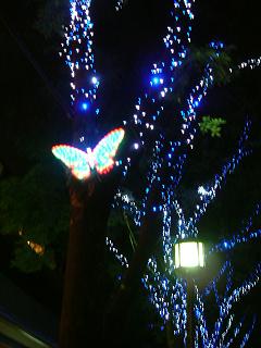 d0005827_20412882.jpg