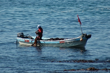 e0064128_0103472.jpg