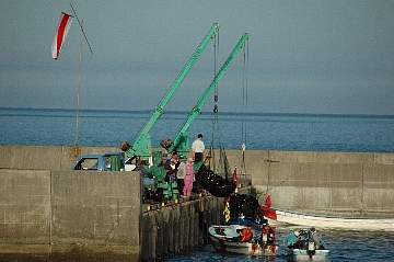 e0064128_013746.jpg