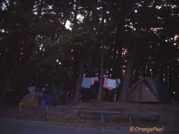 f0088032_0364981.jpg