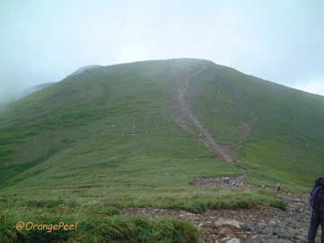 f0088032_0392648.jpg