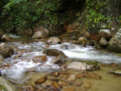 a0005436_13382450.jpg