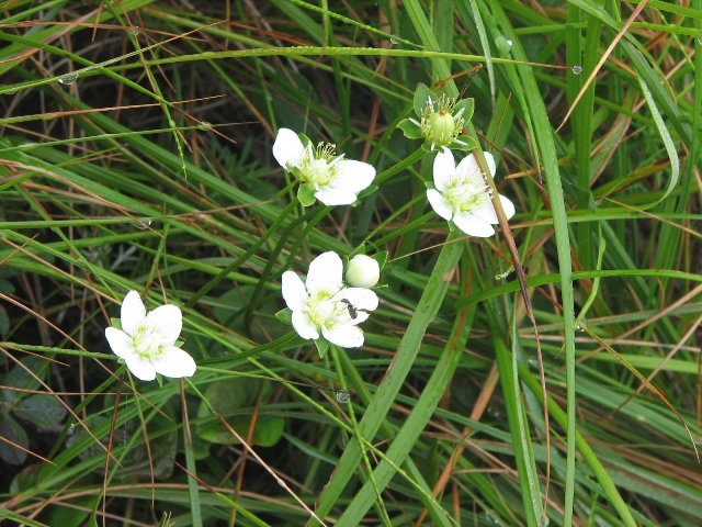 b0097836_22175081.jpg