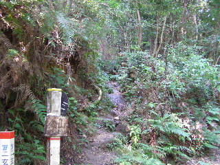 c0077338_8421120.jpg