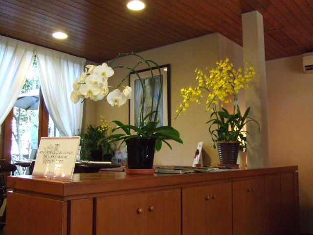 c0071545_15321413.jpg