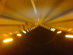 e0005548_227267.jpg