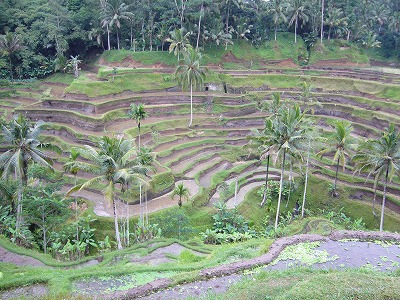 f0056250_16232815.jpg