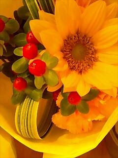 b0023052_941679.jpg