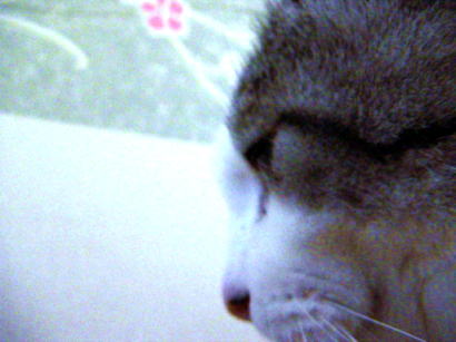 c0031856_1555193.jpg