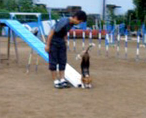 e0007060_21202696.jpg