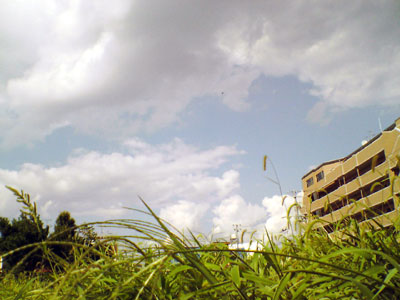 c0050264_23203011.jpg