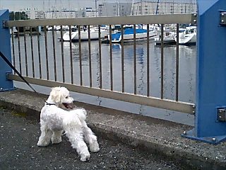 b0103668_22163544.jpg