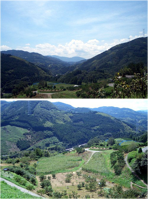 f0104569_2393538.jpg