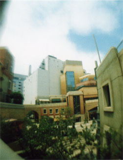 e0036571_12444311.jpg