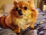 f0052071_15581869.jpg