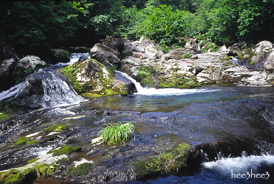 a0053783_102538.jpg