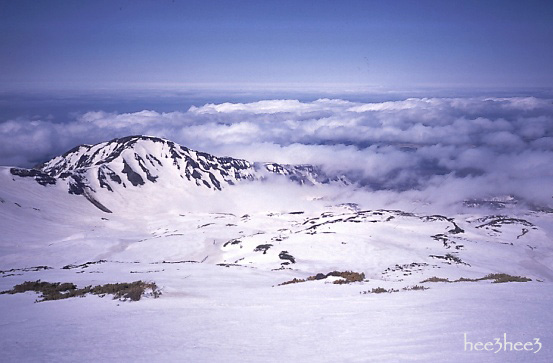 a0053783_1102530.jpg