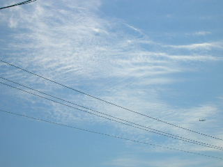 c0029190_12445531.jpg