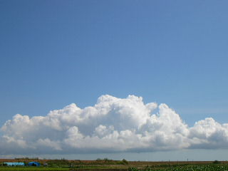 c0029190_1244712.jpg