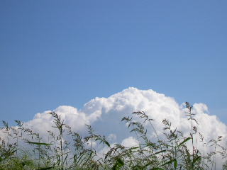 c0029190_12482118.jpg