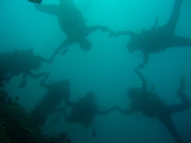 e0064291_1852153.jpg