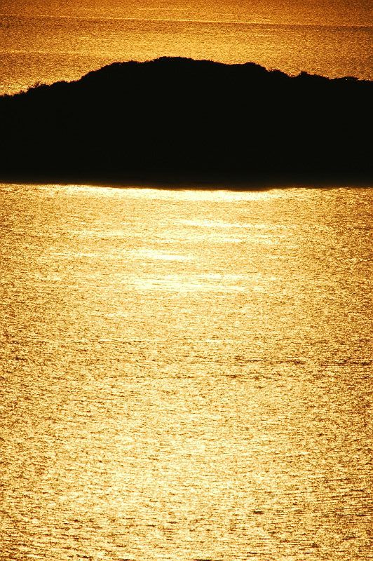 b0021897_234263.jpg