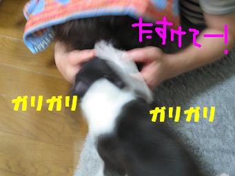 c0092097_21444695.jpg