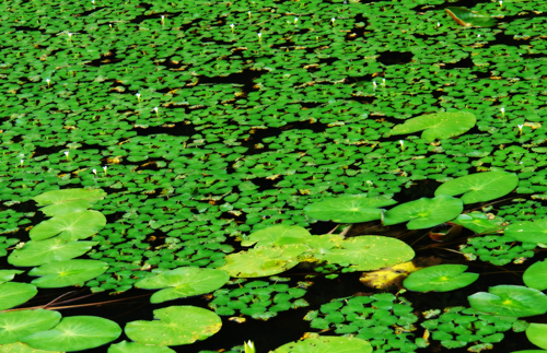 f0097501_20123134.jpg