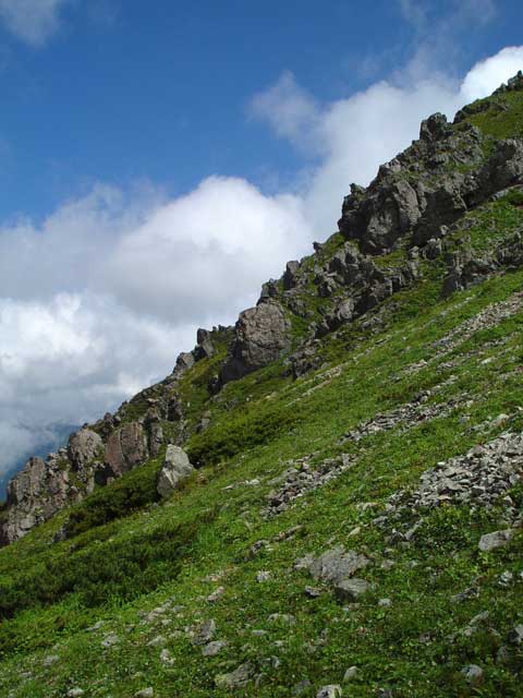d0069011_1210351.jpg