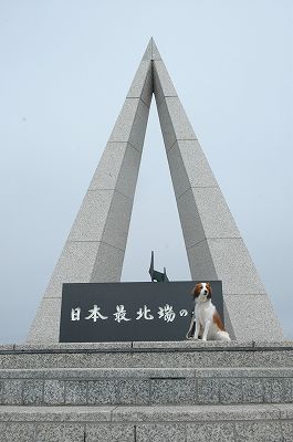 c0065512_1612057.jpg