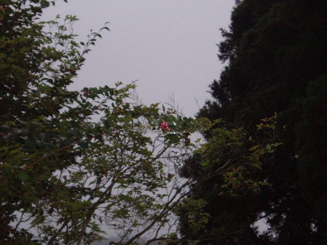 c0086014_6342580.jpg