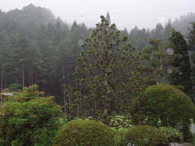 c0086014_64102.jpg
