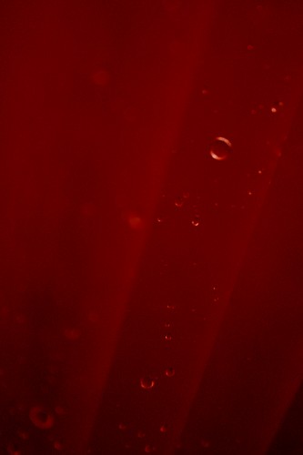 e0002214_6545340.jpg