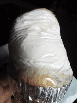 f0000425_124237.gif