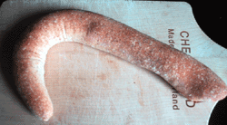 f0000425_131412.gif