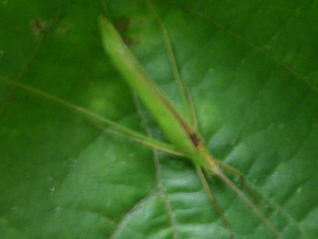 a0020929_15564488.jpg