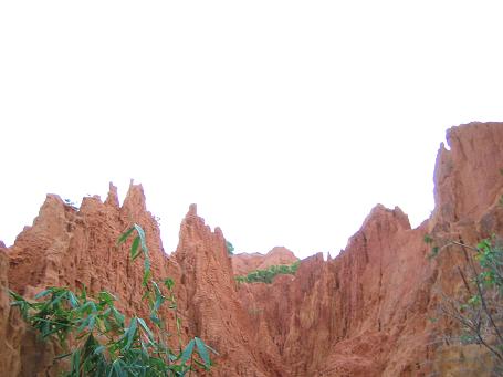 b0074430_21345340.jpg