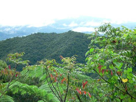 d0053930_750294.jpg