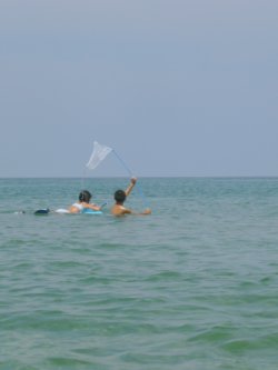 d0018131_14287.jpg