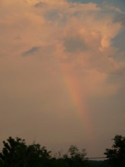 d0018131_8344418.jpg