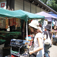 d0033734_11314872.jpg