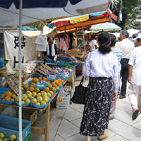 d0033734_14582699.jpg