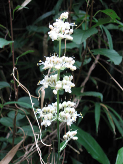 b0088037_22114276.jpg