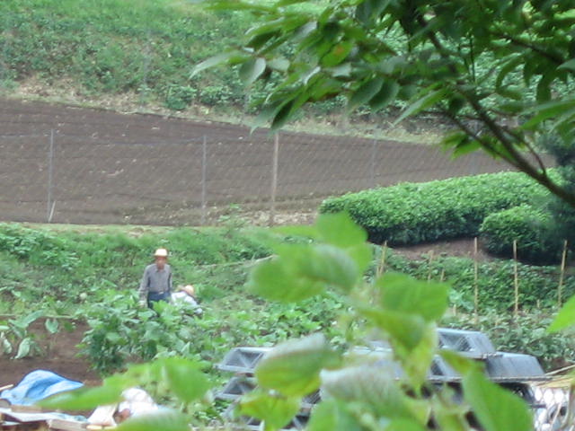 b0088037_2213358.jpg